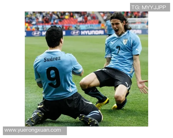 新西兰与葡萄牙明日对决精彩看点分析与赛前预测